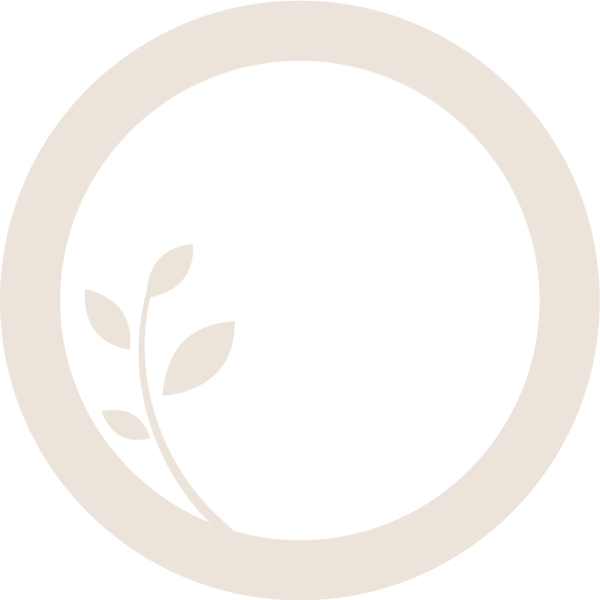 Giải pháp Đẹp từ gốc của Orig